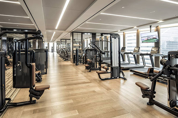 Elm fitnəyə rəhbərlik edir və sağlam həyatdan zövq alır