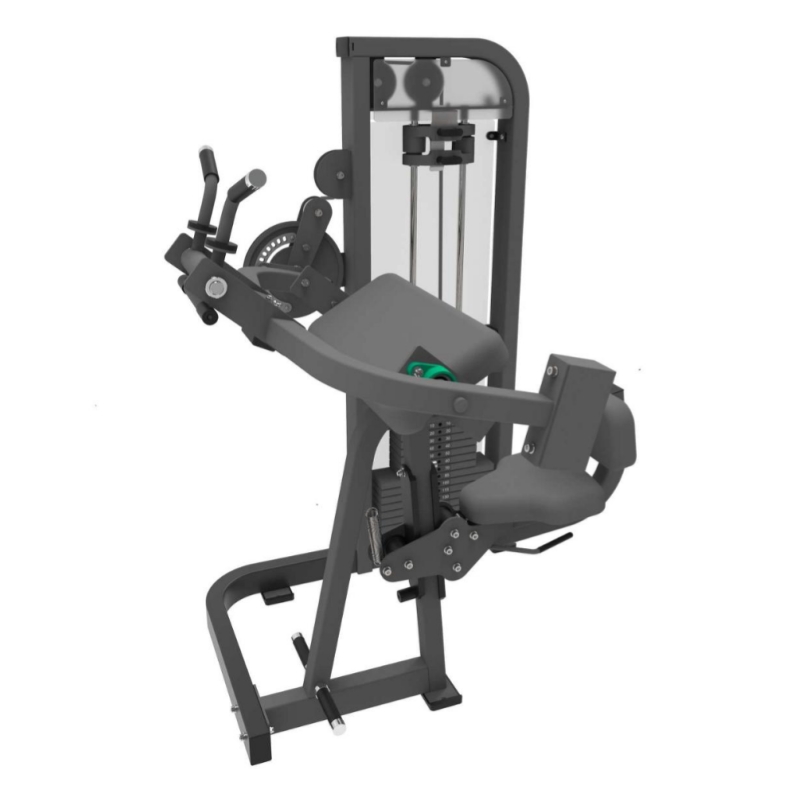 Biceps və triceps
