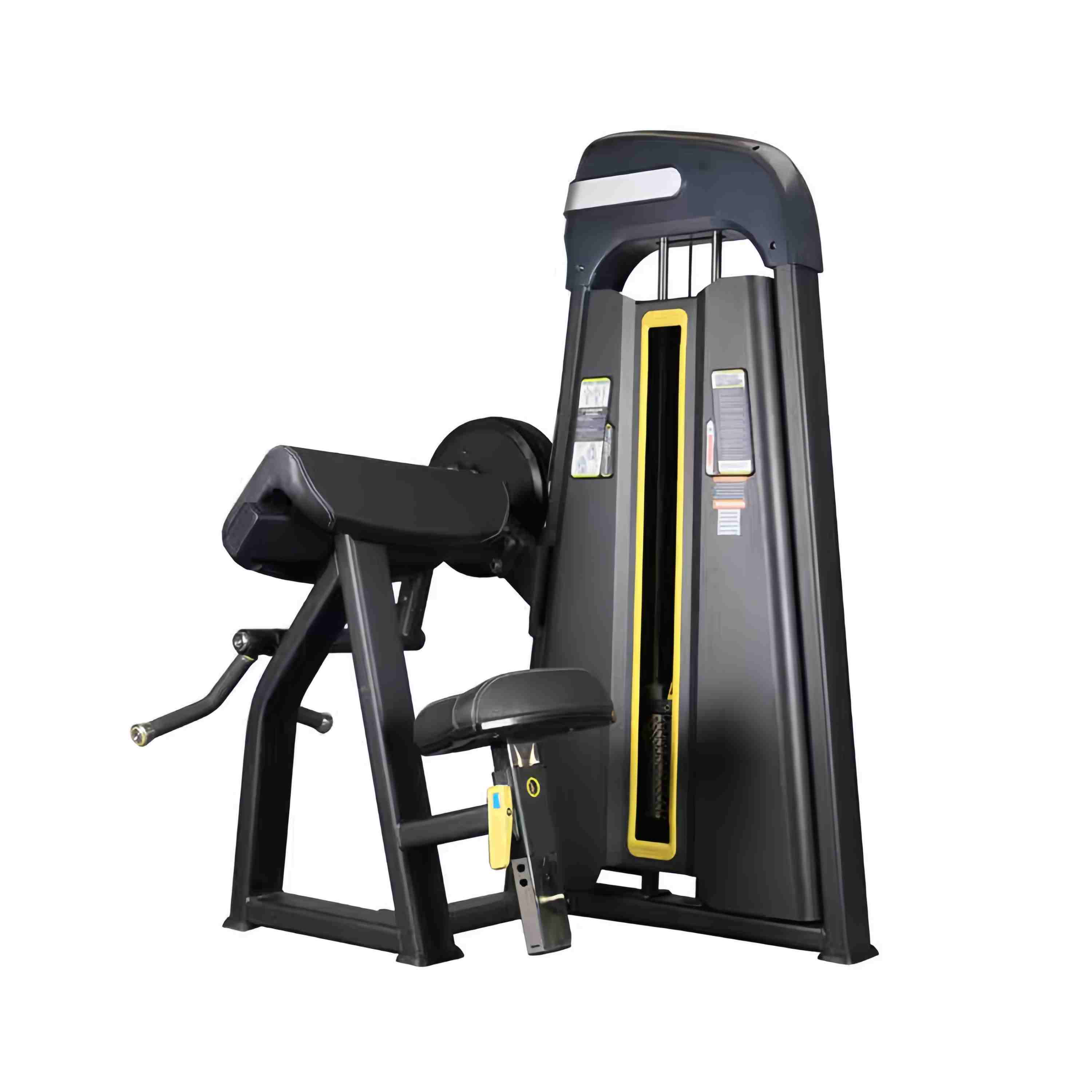 Camber Curl & Biceps Curl