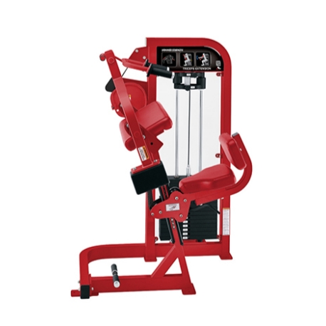 Triceps aşağı itələyir